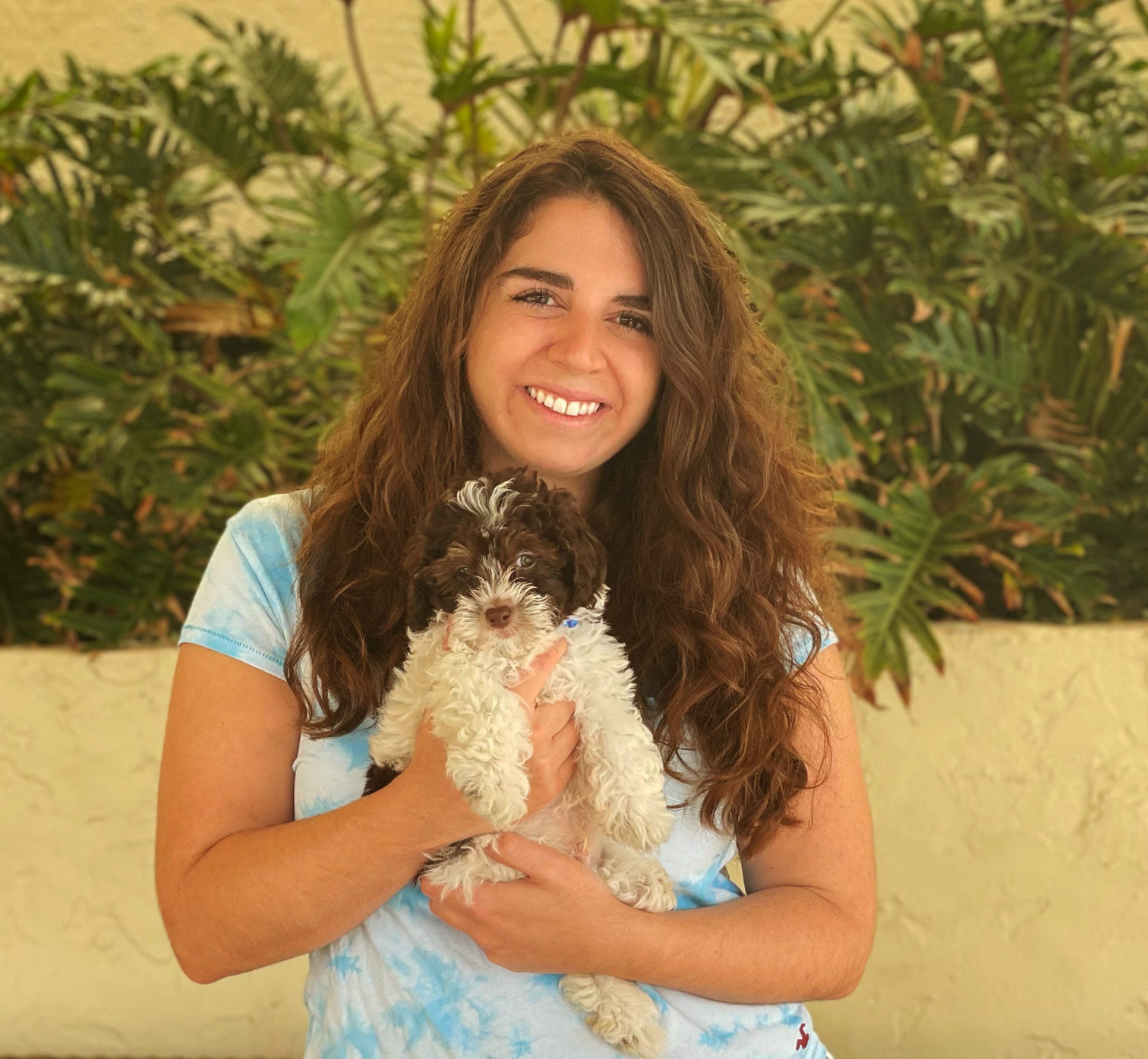 Aly Dear Jack Foundation