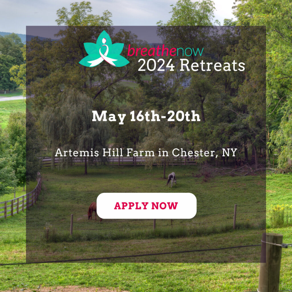 Breathe Now Retreat Chester, NY Dear Jack Foundation